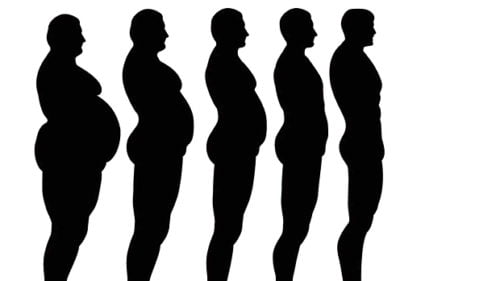 体重計に表示されるMUS・TBW・BON・FAT・BMRの意味とは？見方を解説！ ｜ 女子のカガミ
